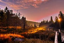 Nationalpark Harz