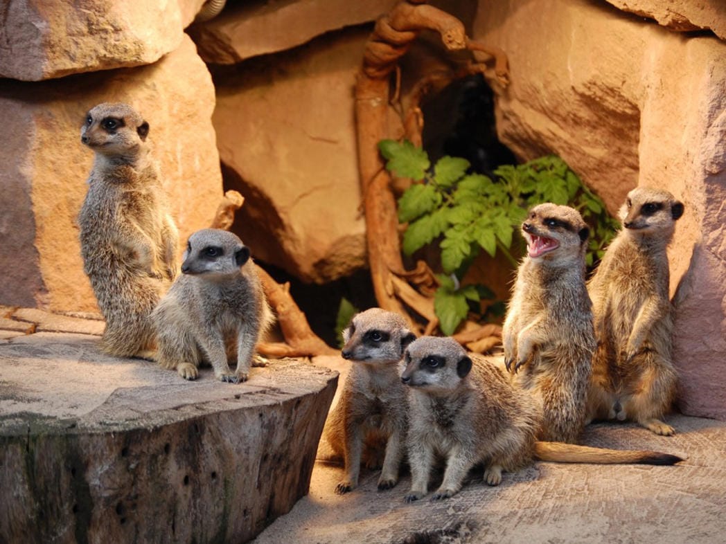 Zoologischer Garten Magdeburg