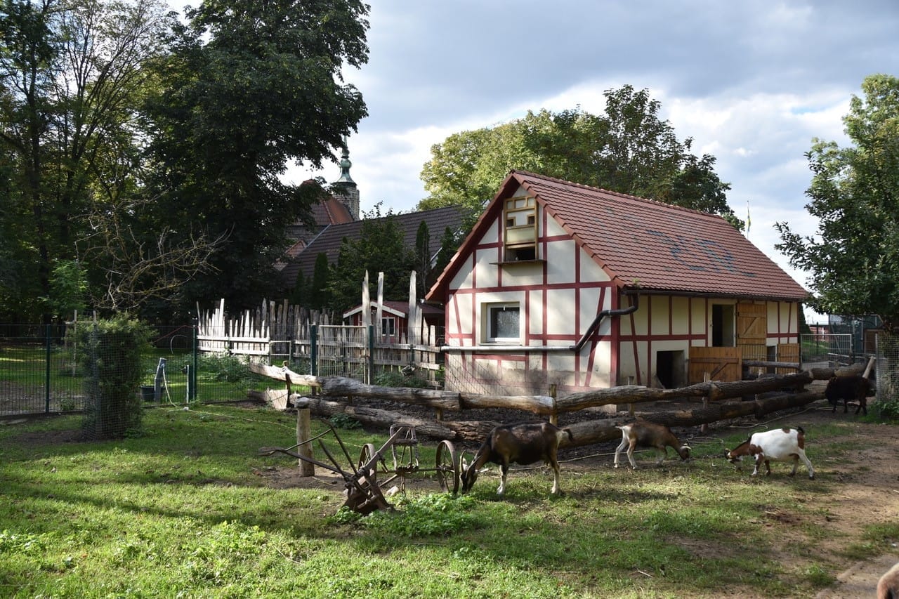 Tierpark Lützen