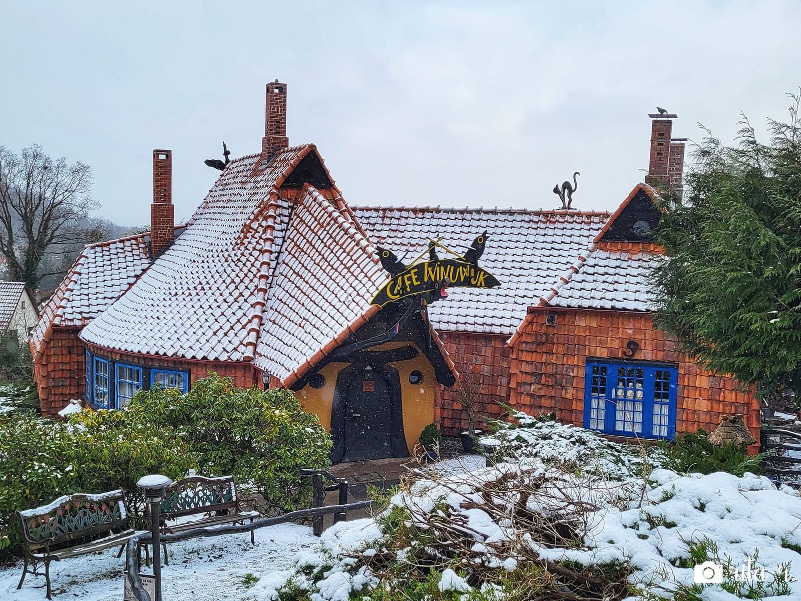Café Winuwuk
