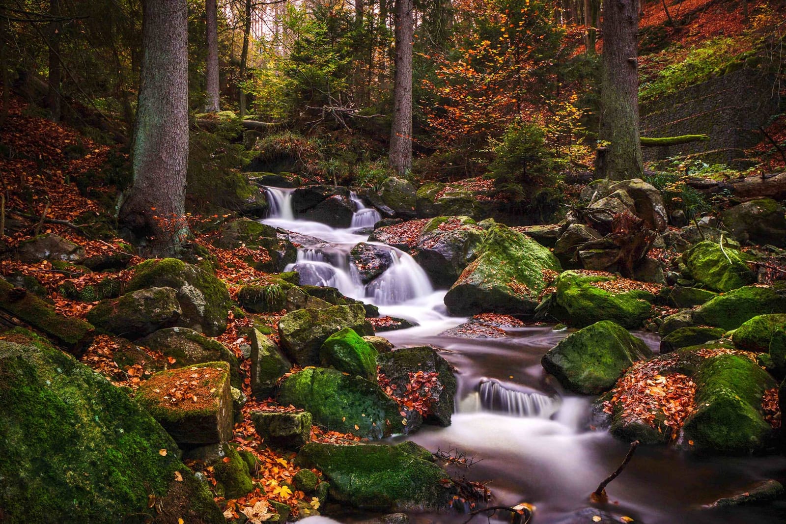 Ilsenburg - die bezauberndste Stadt im Harz