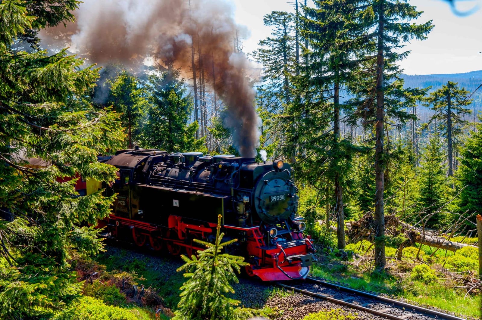Familienurlaub im Harz