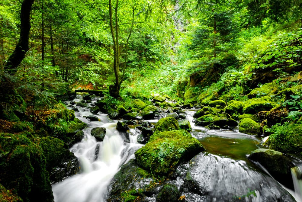 Familienurlaub im Harz