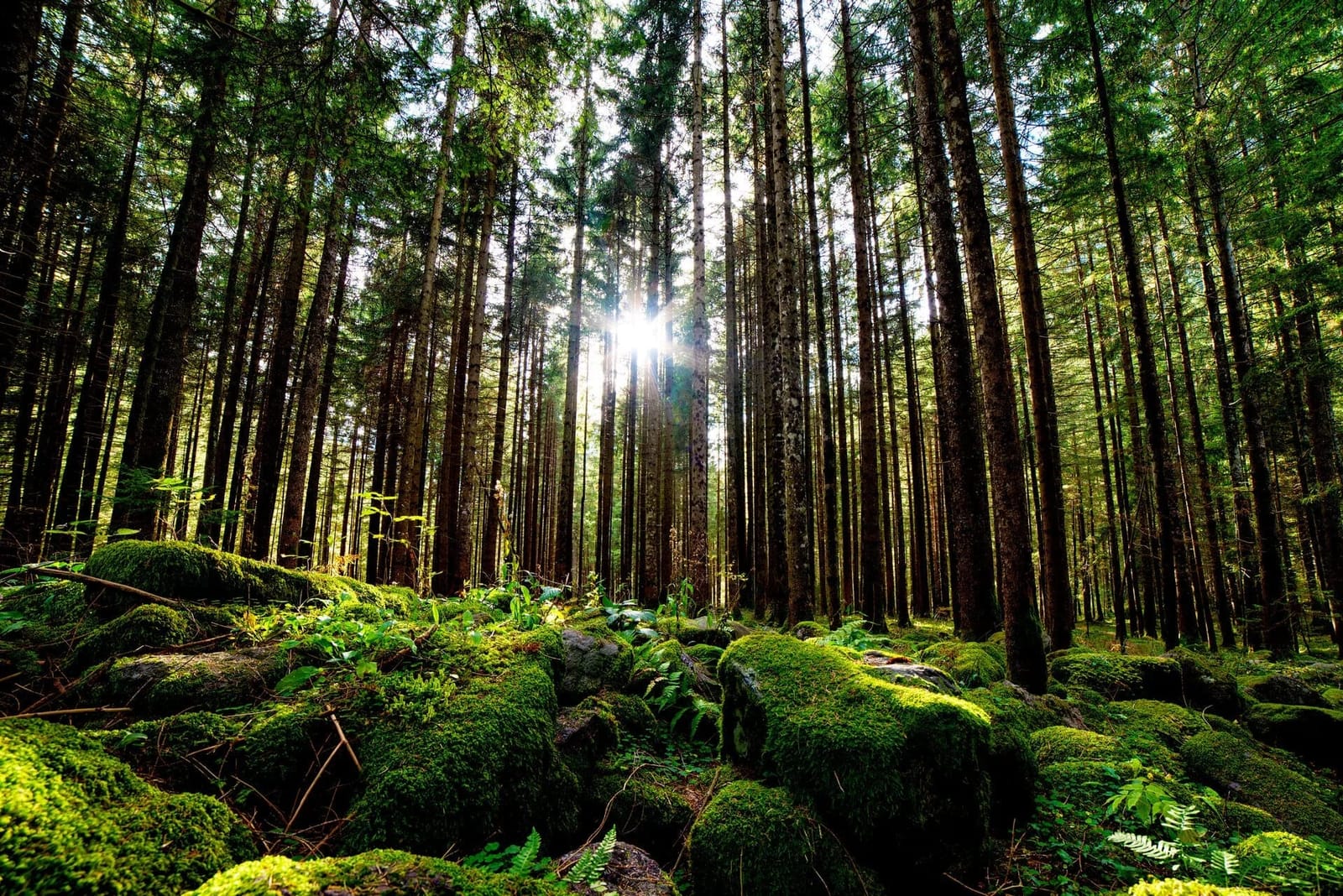 Familienurlaub im Harz