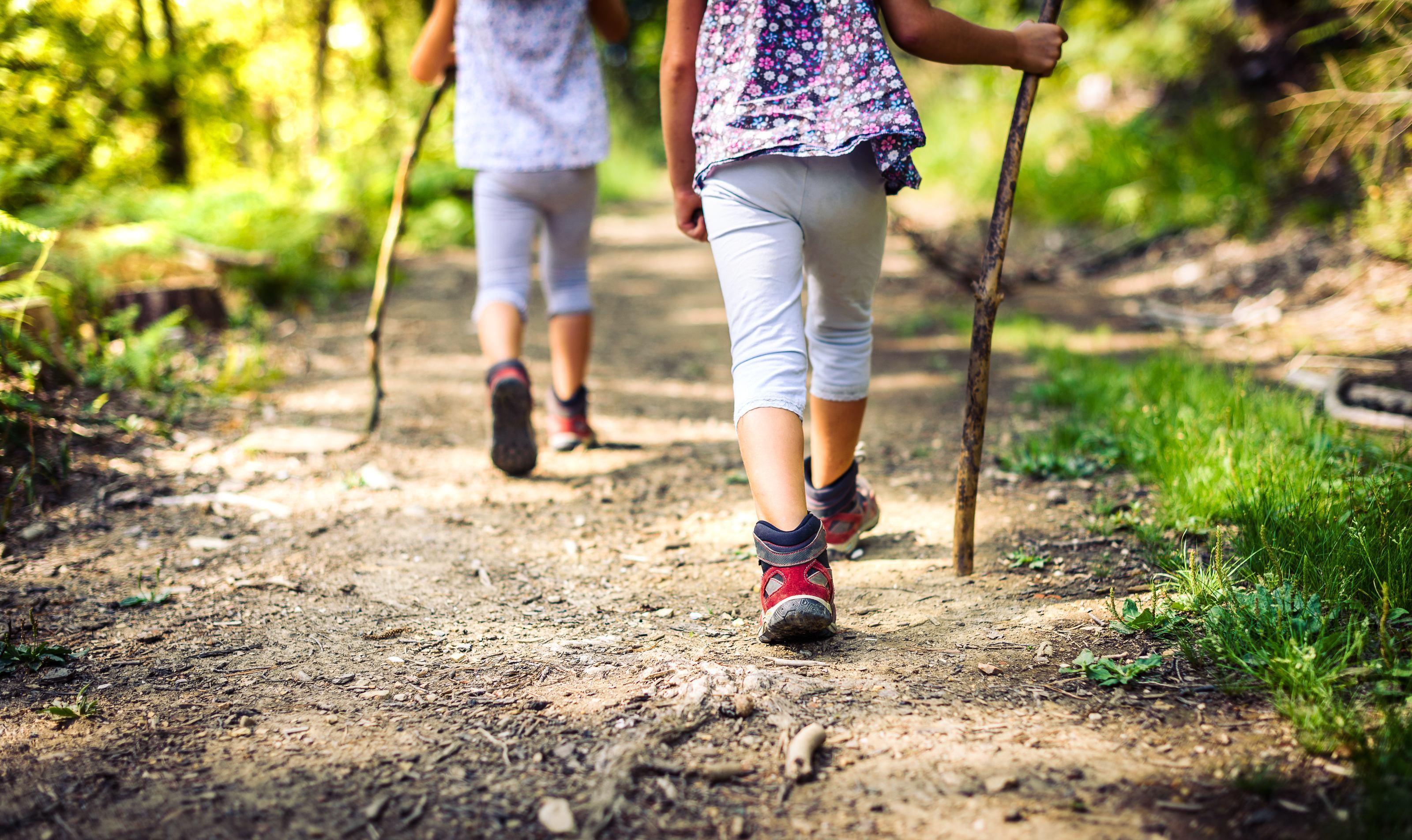  Kinder beim Wandern