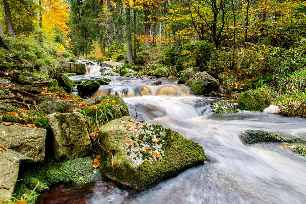 Harz Wasserfall