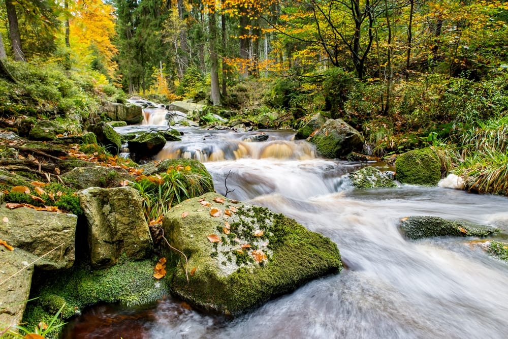 Harz Wasserfall
